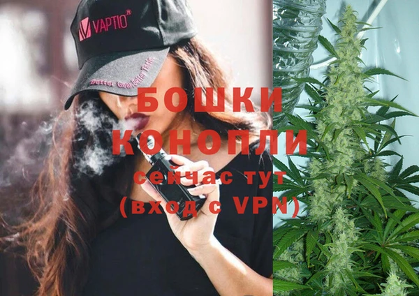 ешки Алзамай